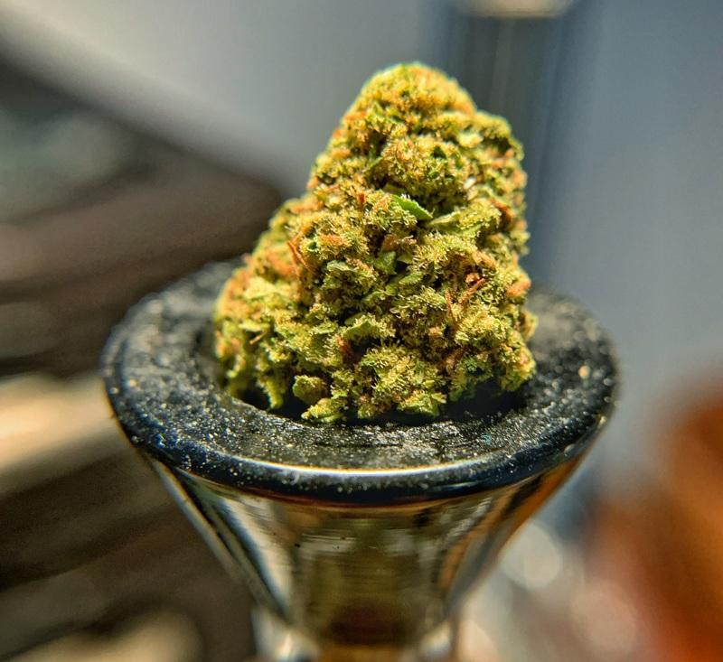 BackWoodz CBD Flower Absorption Rate