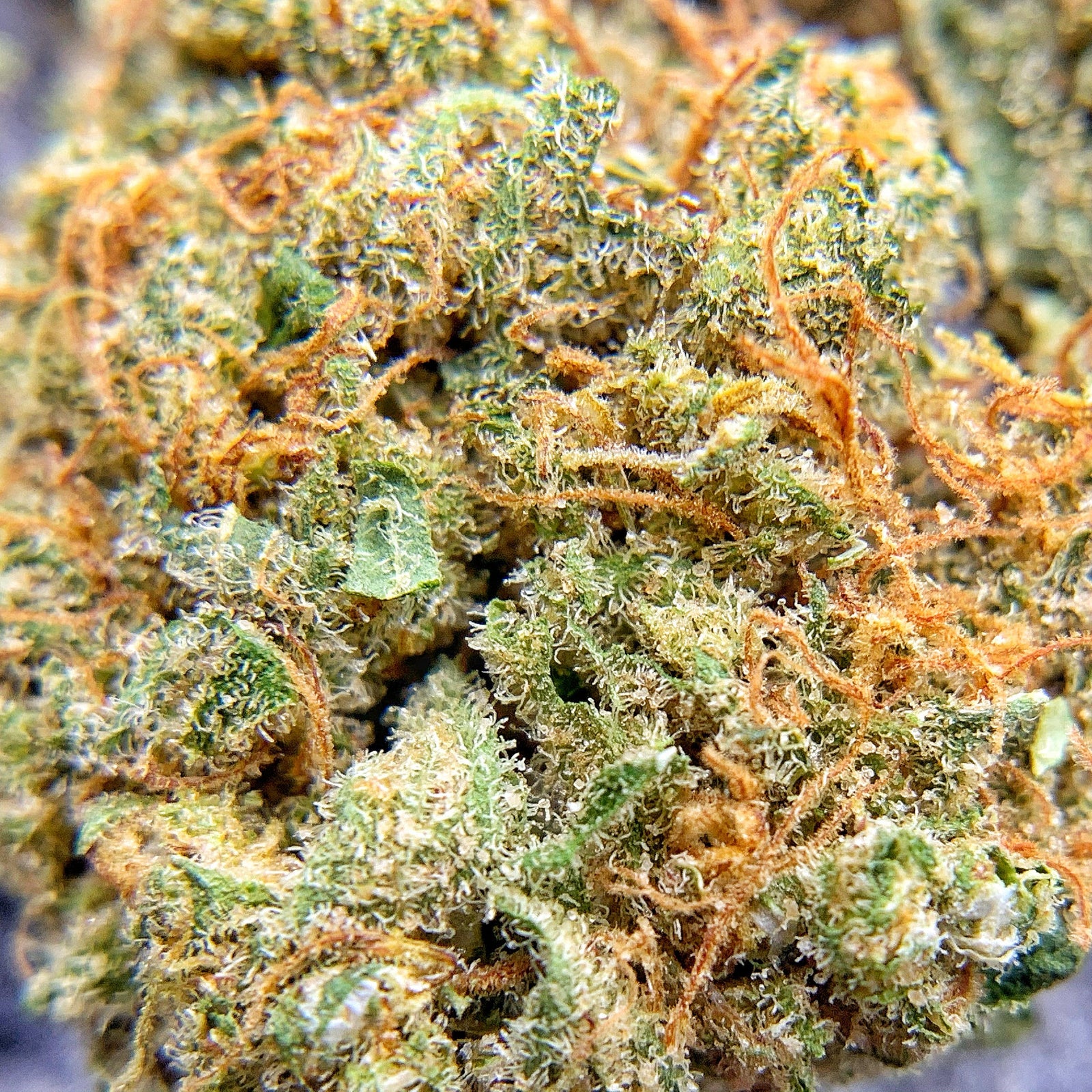 BackWoodz CBD Flower - Potency versus Bag Appeal