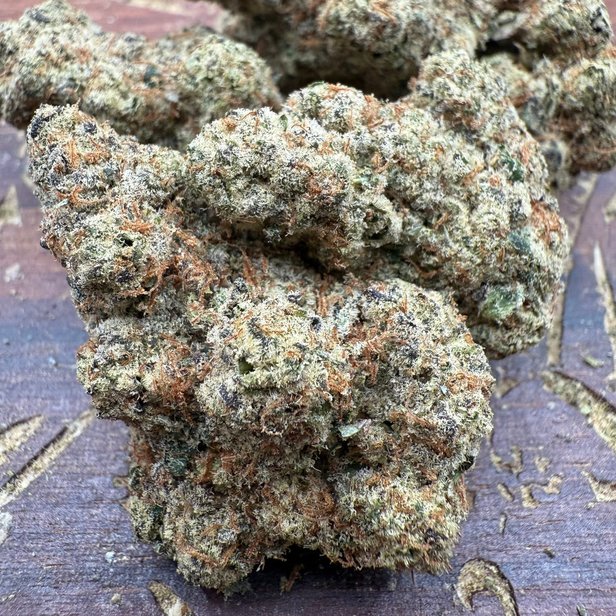 Animal Cookies - THCA Flower - BackWoodz 