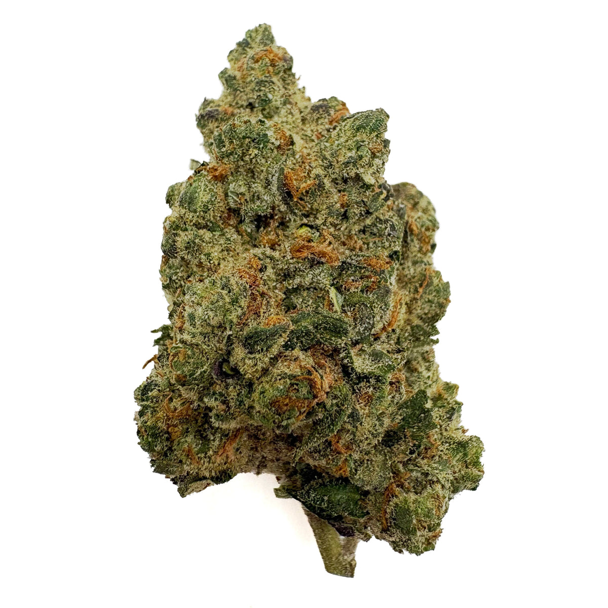 BackWoodz Blue Chocolate THCA Flower Bud