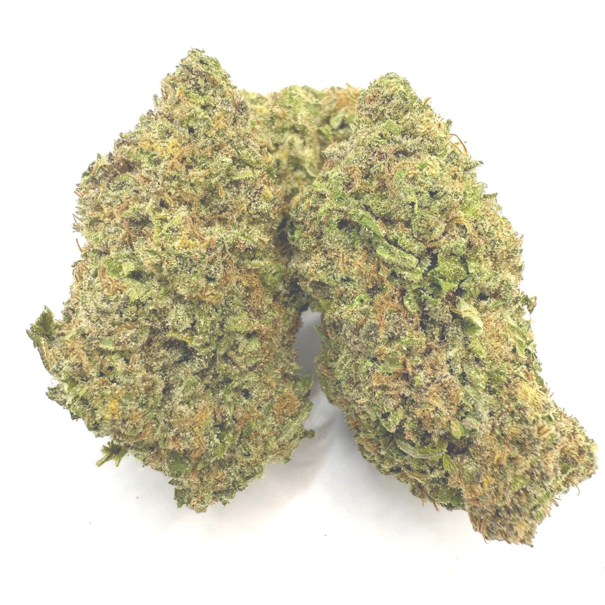 Blueberry Muffin - THCA Flower - BackWoodz