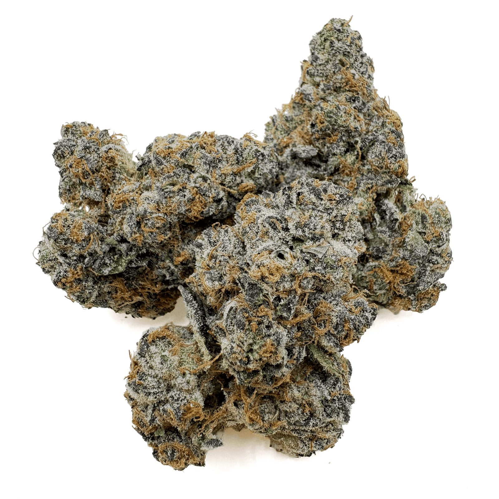 Cheetah Piss THCA Bud