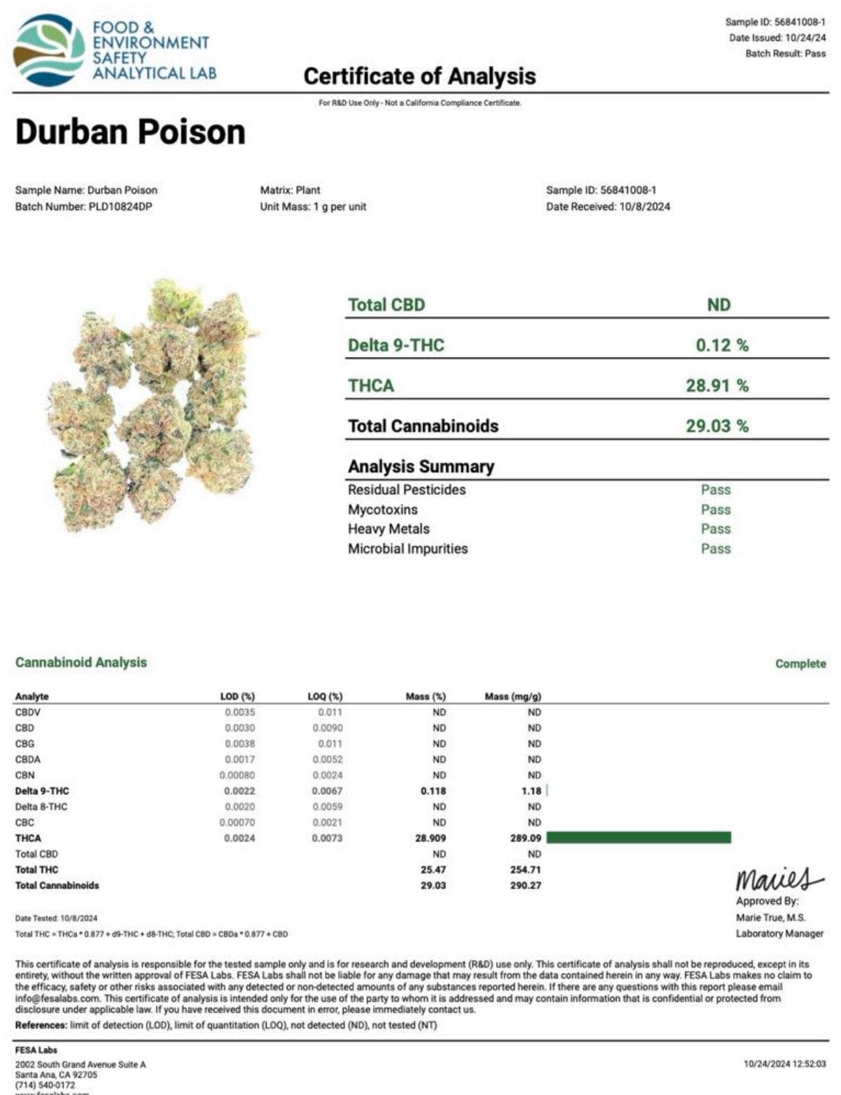 Durban Poison - THCA Flower - BackWoodz