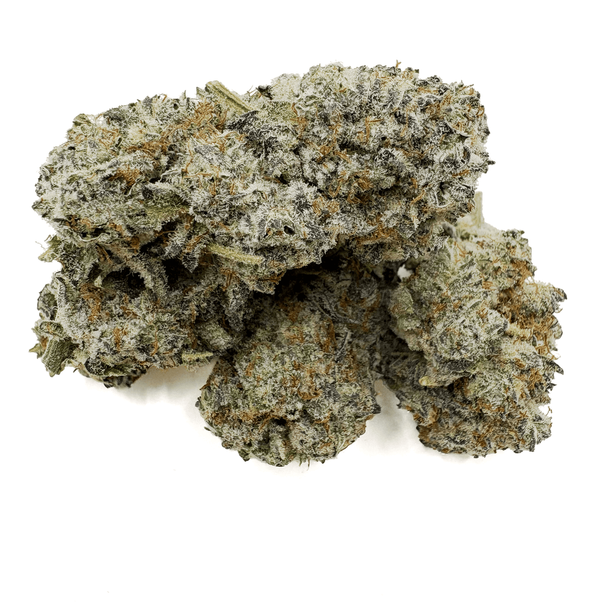 Close-up of a Oreoz bud - BackWoodz 