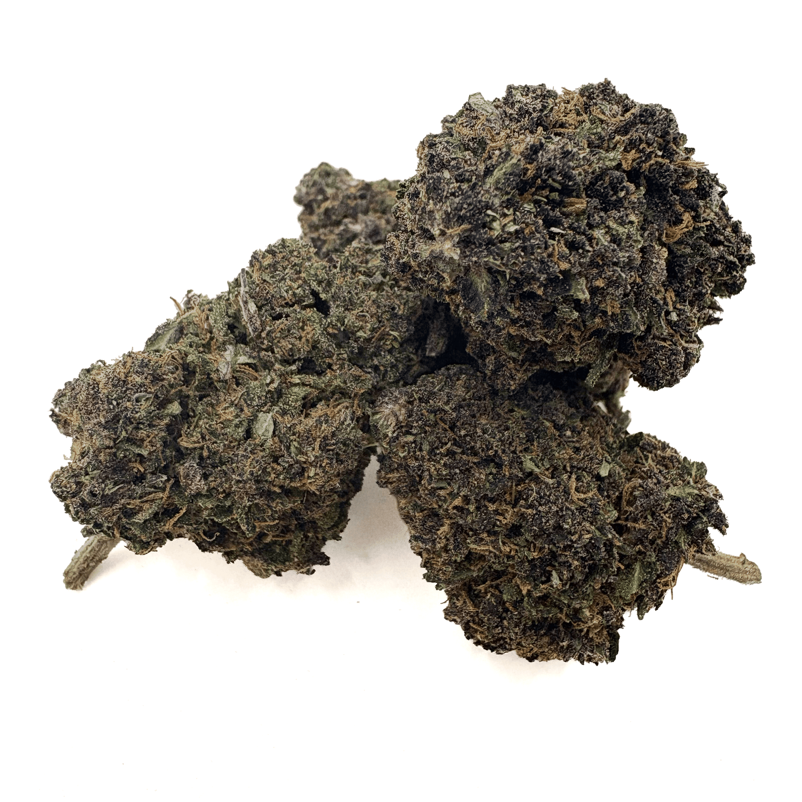 Pink Panther CBD Bud