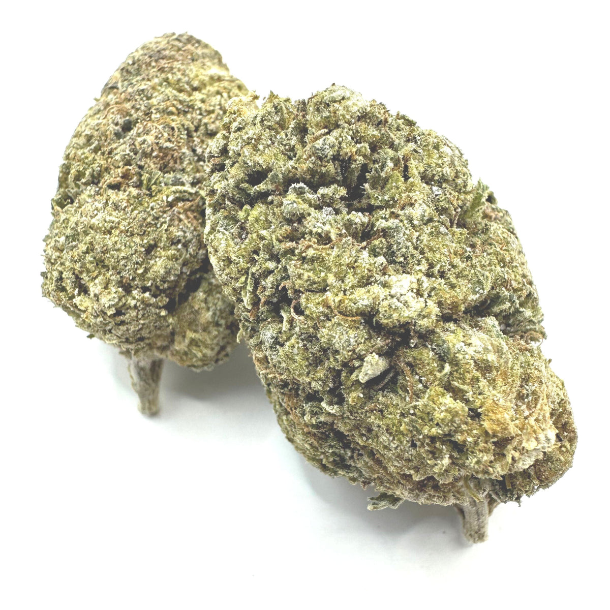 Royal Highness - THCA Flower - BackWoodz