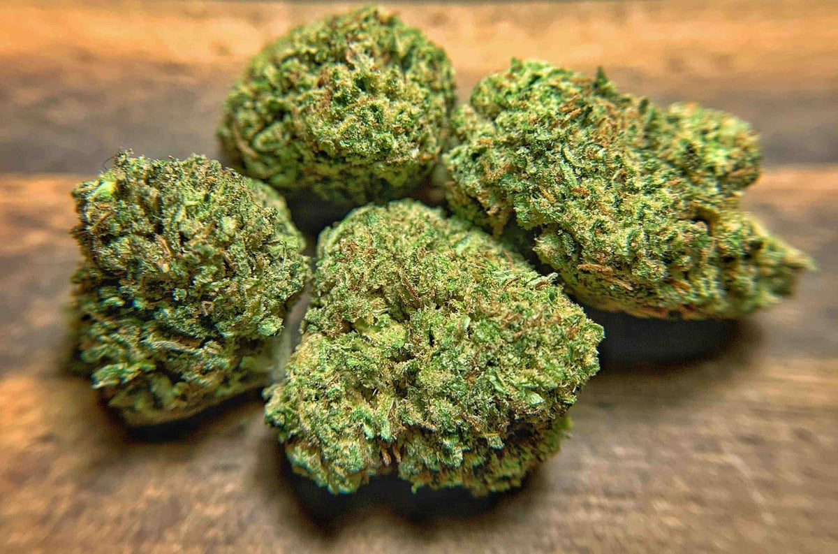 AC/DC CBD Hemp Flower - BackWoodz CBD