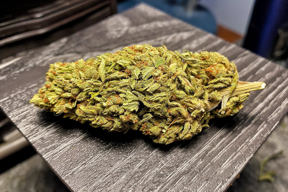 BackWoodz Indoor CBD Hemp Flower Sampler 