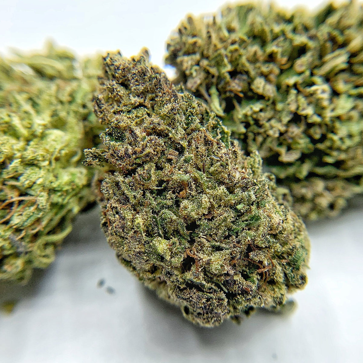 Frosted Lime CBD Flower - BackWoodz CBD