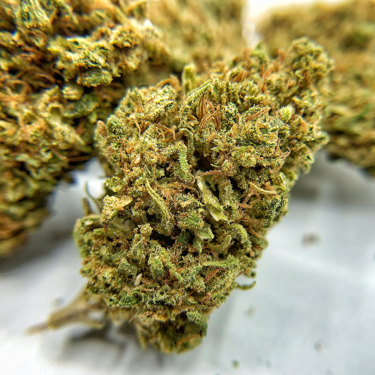 Hawaiian Haze CBD Flower- BackWoodz CBD