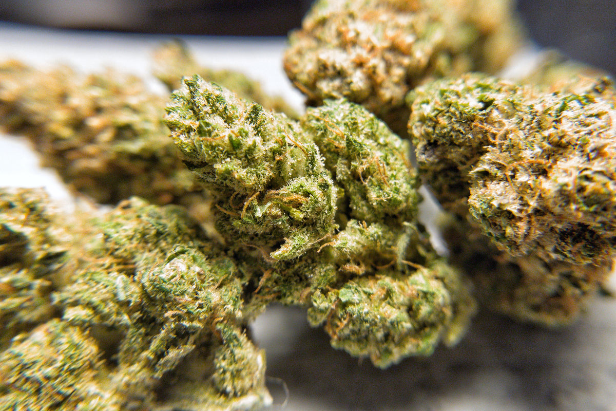 Indoor MoonWalker ( Hydro ) CBD Flower - BackWoodz CBD