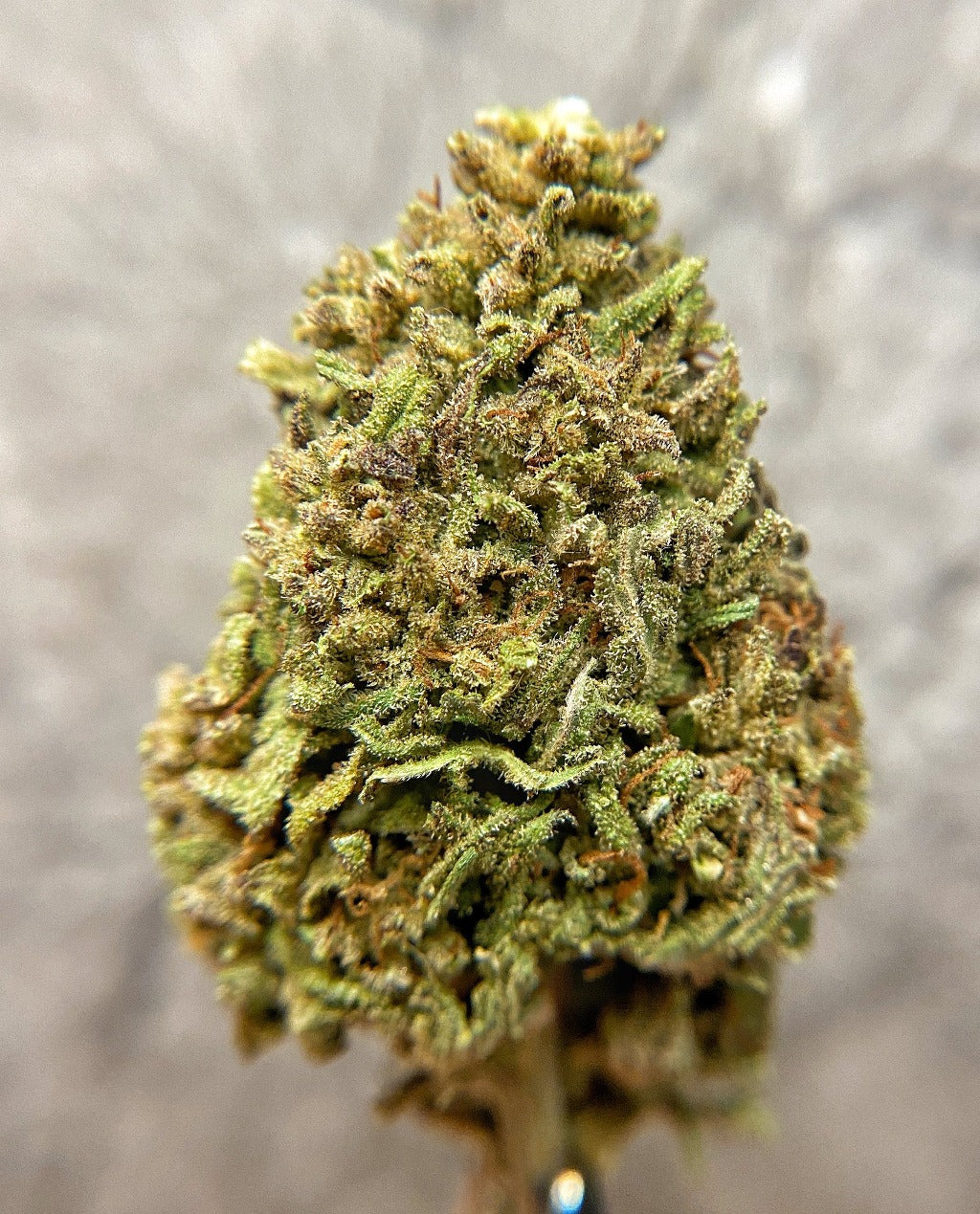 Best Hemp Flower - Lifter - BackWoodz CBD