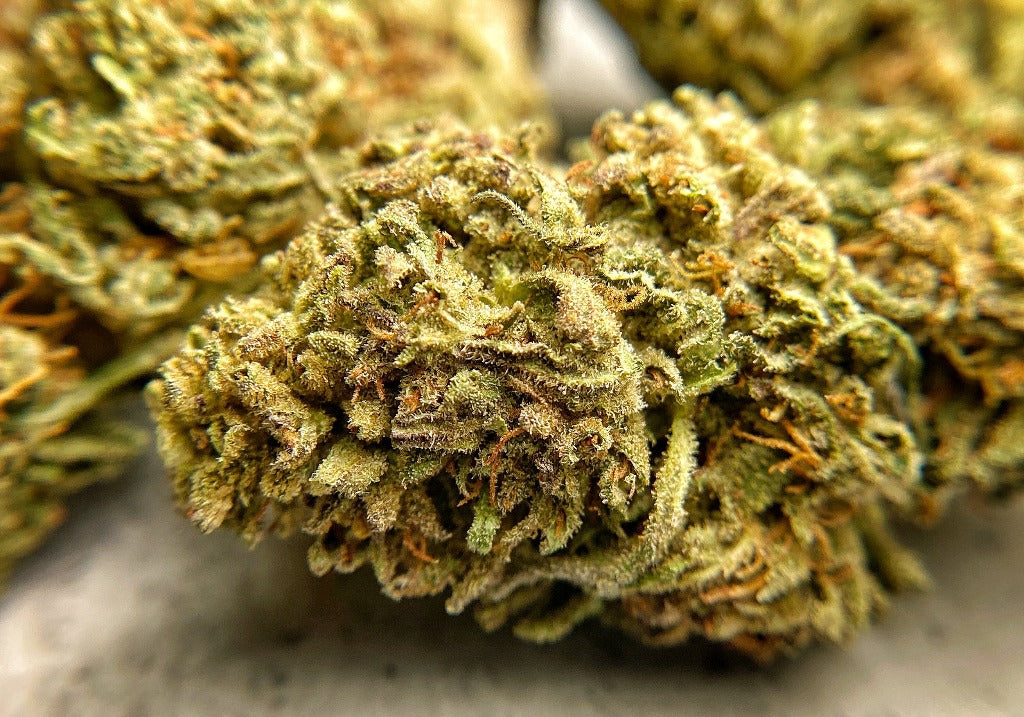 Lifter CBD Hemp Flower - BackWoodz CBD