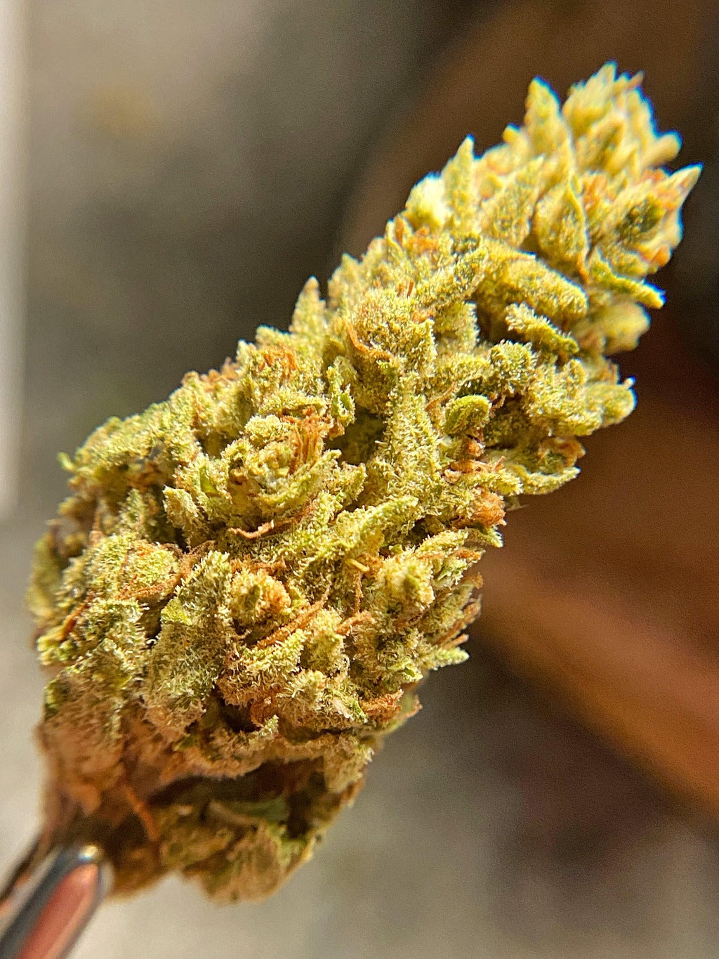 Greenhouse Suver Haze CBD Hemp Flower - BackWoodz CBD 