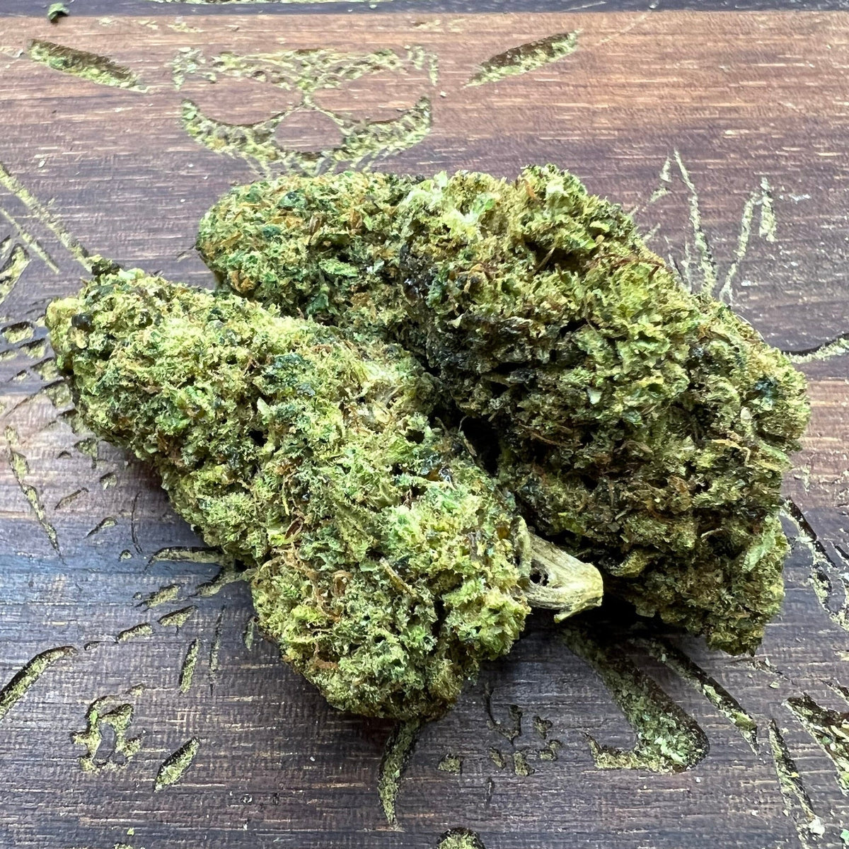 Sunset Gelato - THCA  Flower - BackWoodz  